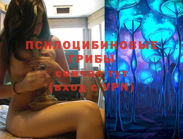 трава Нягань
