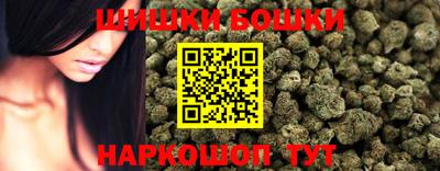 стафф Донской