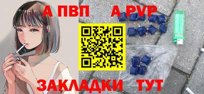 стафф Донской