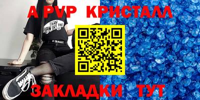 стафф Донской