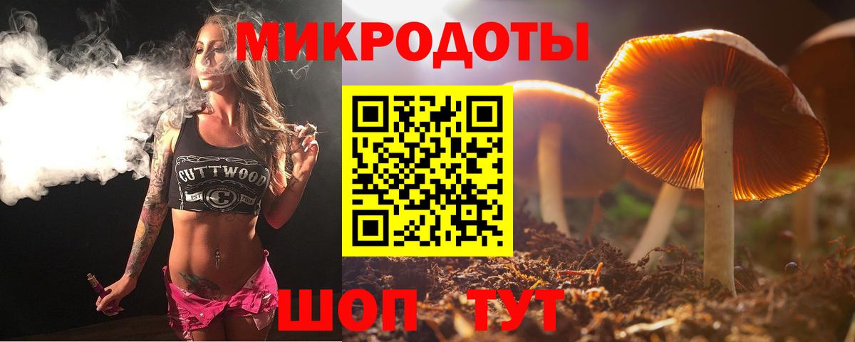 Клин  Псилоцибиновые грибы Psilocybe  Вход с VPN  Псилоцибиновые грибы GOLDEN TEACHER 